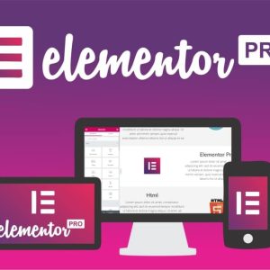 elementor-pro